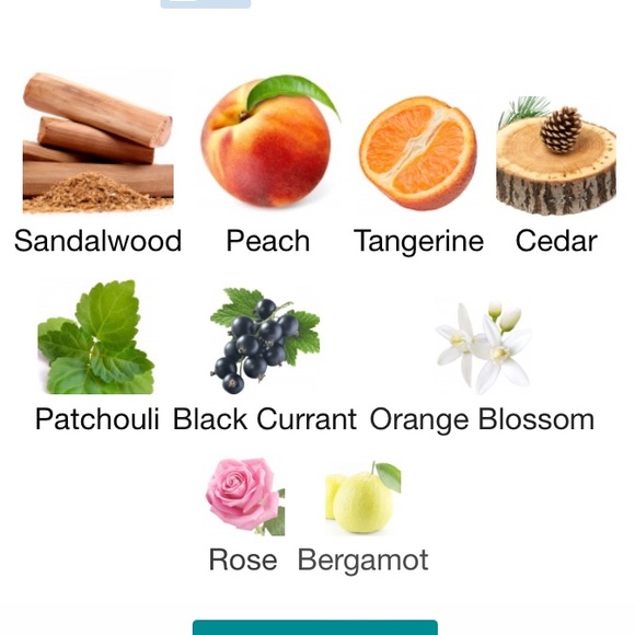 WILD ELIXIR by Shakira edt - Picture 5 of 5